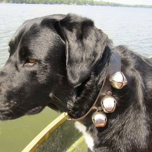 Jingle Bell Collar